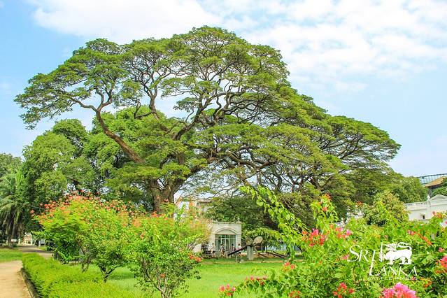 科伦坡国立博物馆