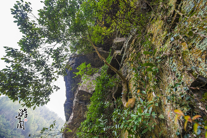 "华东大裂谷风景区的景观数量众多，大小景观23处，“双狮守门”、“水帘洞”、“滴水洞”、“百丈崖..._华东大裂谷"的评论图片