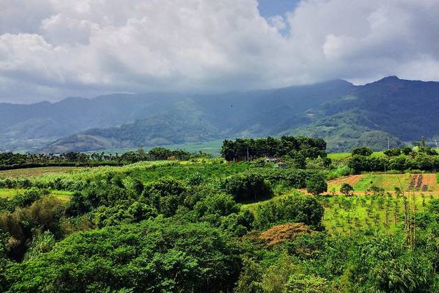 台东原生应用植物园