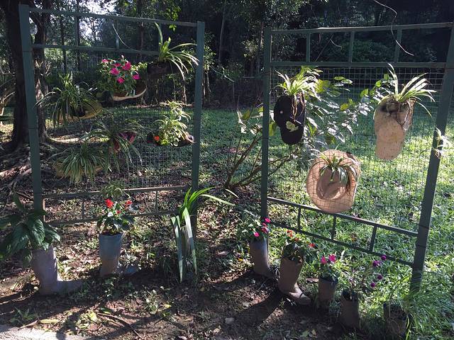 森波拉奇妙世界