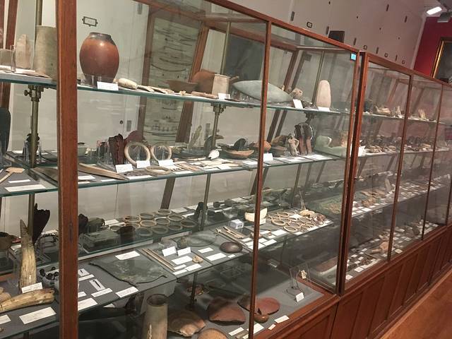 皮特里埃及考古博物馆