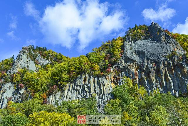大雪山国立公园