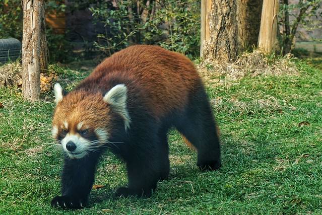 济南野生动物世界