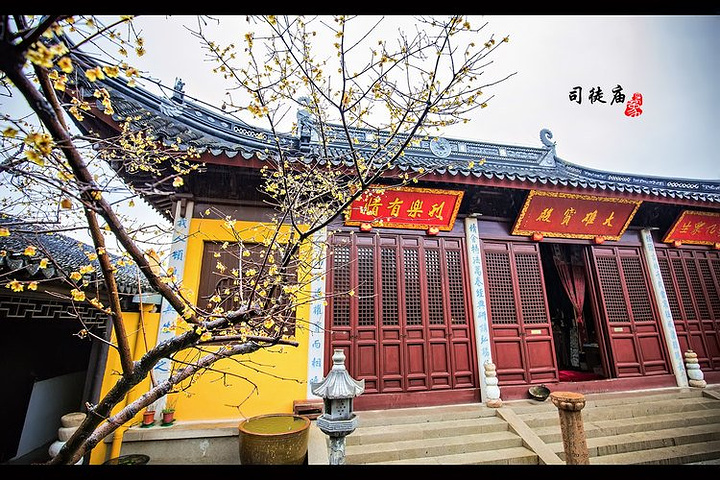 【邓禹草堂】【踏雨寻梅】今忆旧游追写出,笔端浴荡太湖春.