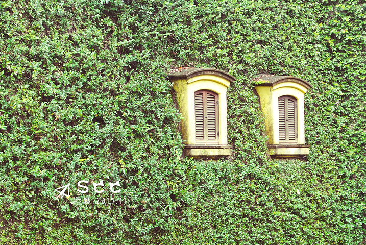 这个是接驳车的售票机器,有英语的所以不怕看