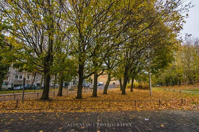 2024Duddingston Loch门票,爱丁堡Duddingston Loch游玩攻略,Duddingston Loch游览攻略路线