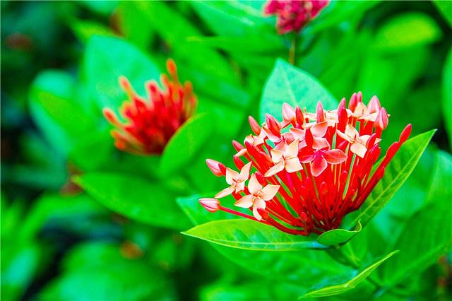 东方基金会会址