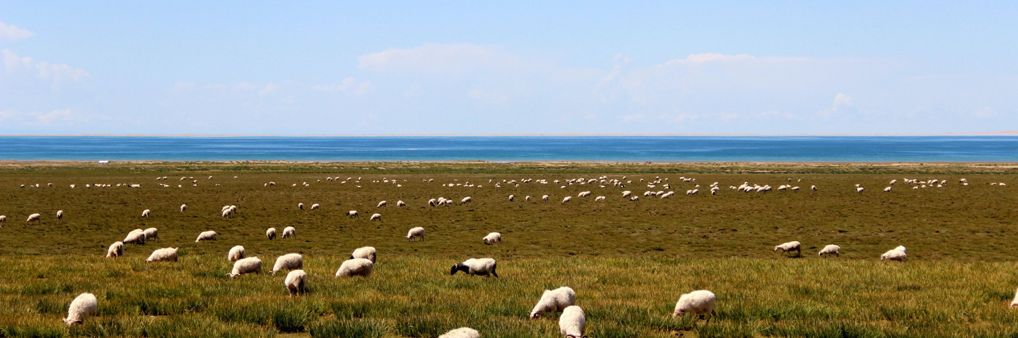 一浪多少人口_博社村人口多少