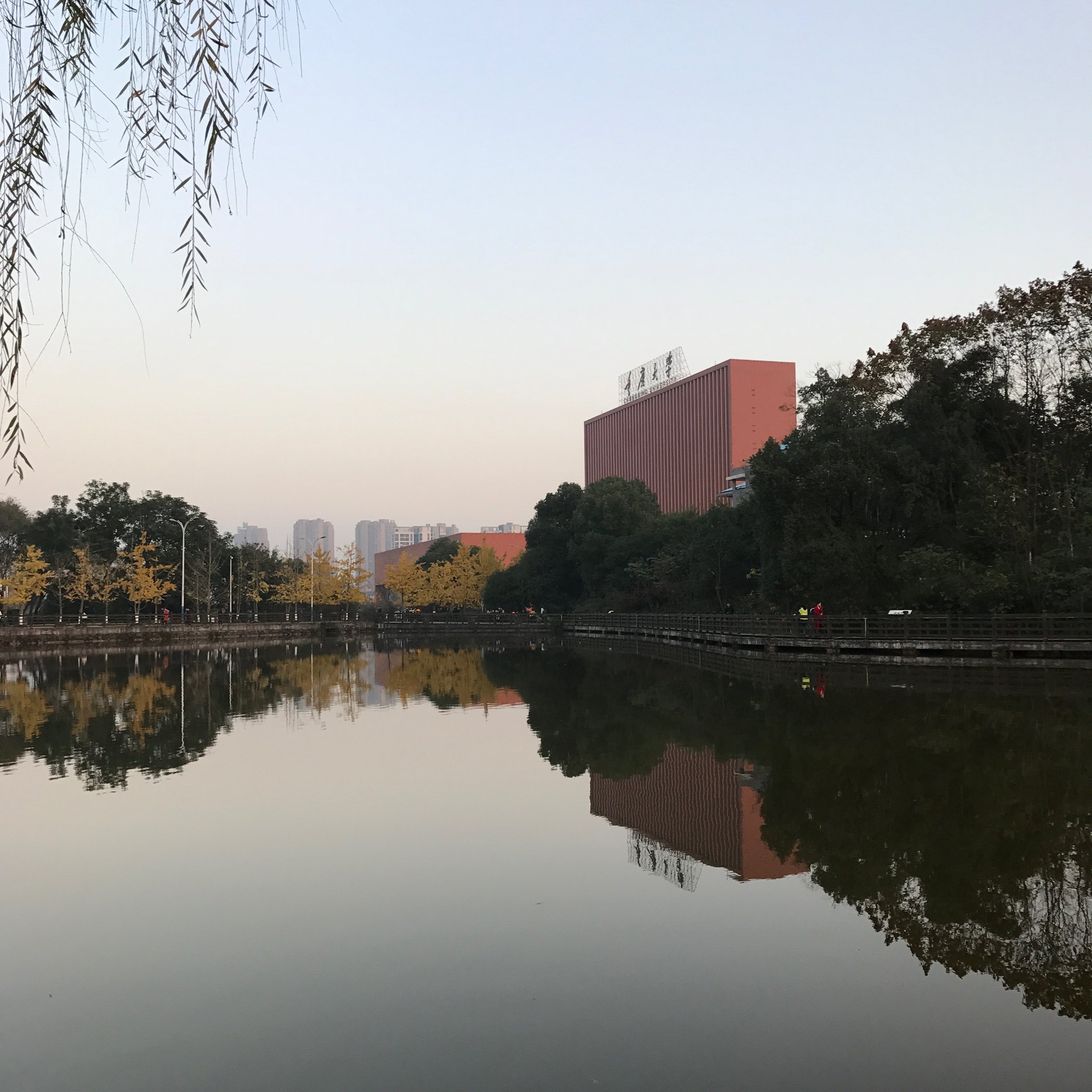 89 首页 重庆周边集合游玩贴-主城金佛山南山… 2016.12.