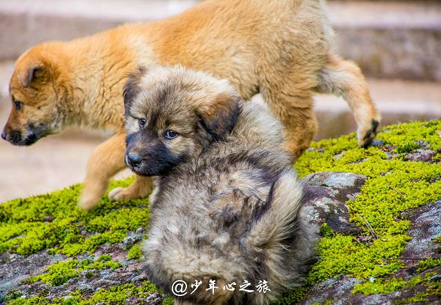 步步回头,皆是风景--福建武夷山4日深度游