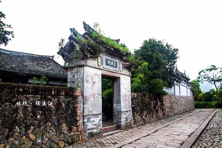 苍坡古村"的评论图片