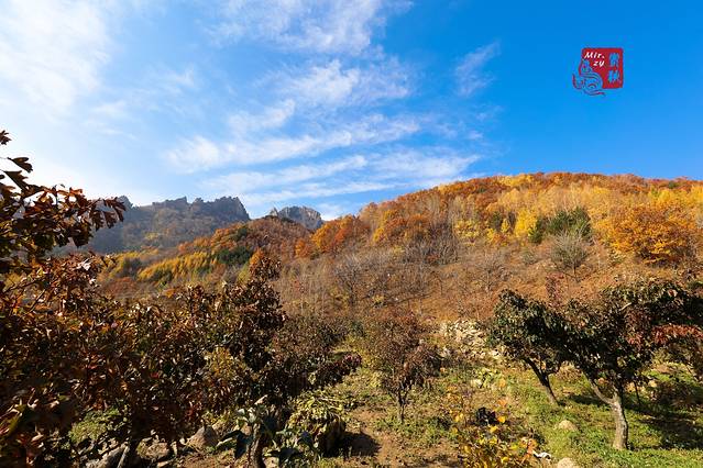 雾灵山生态旅游区