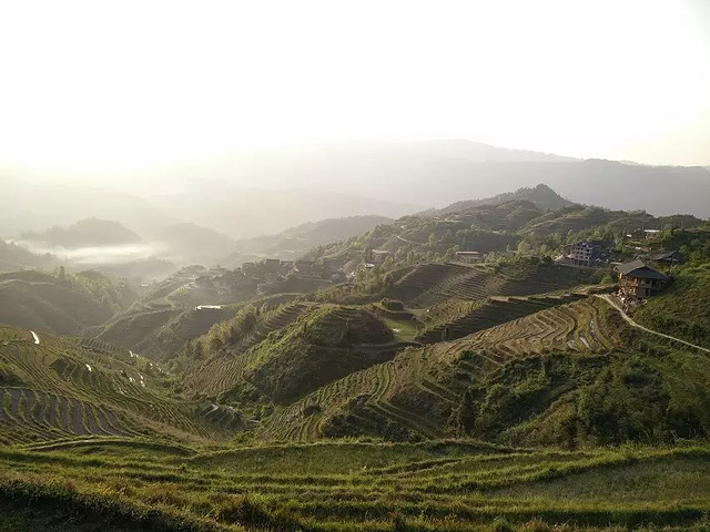 龙胜县2018人口出生率_广西龙胜 两栖农民 年终旅游分红光荣脱贫(3)