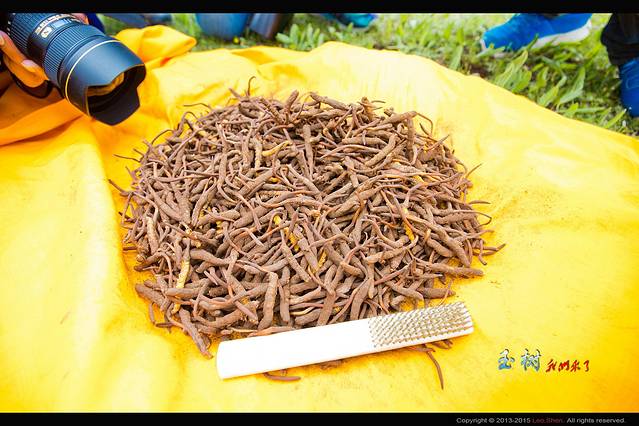 巴艾涌地质公园