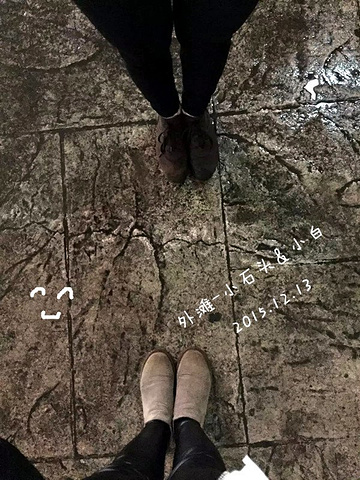 可是飞哥完全把我的话当耳旁风(一向都是这样,没地位啊没地位)_朱家角