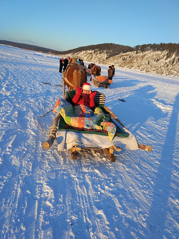 到的,都是狗拉雪橇的,印象中就以为这是东北雪地主要的交通工具,有些