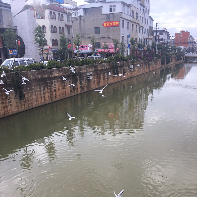 1日游-昆明旅游攻略-游记-去哪儿攻略
