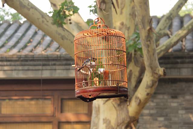 史家胡同博物馆