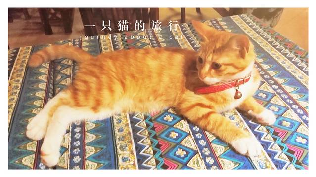 武汉理工大学（马房山校区）