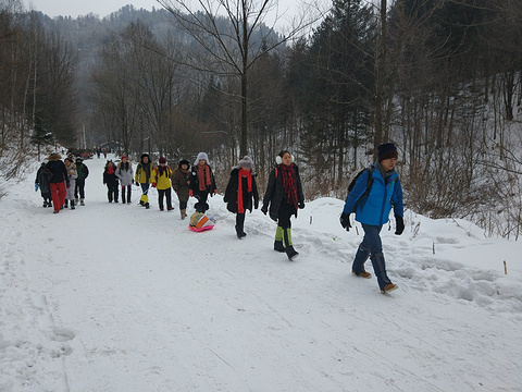 雪乡狗熊岭旅游景点攻略图