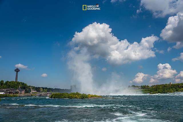 尼亚加拉河谷自然保护区