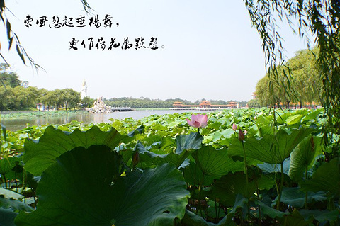 南戴河旅游景点推荐-2022南戴河旅游必去景点-排名,网红,好玩-去哪儿
