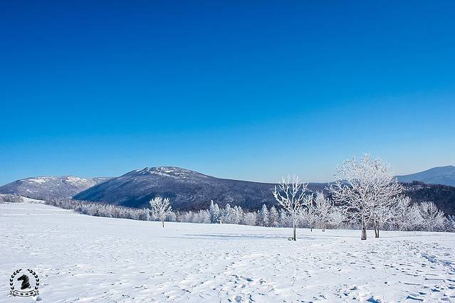 雪乡狗熊岭景区