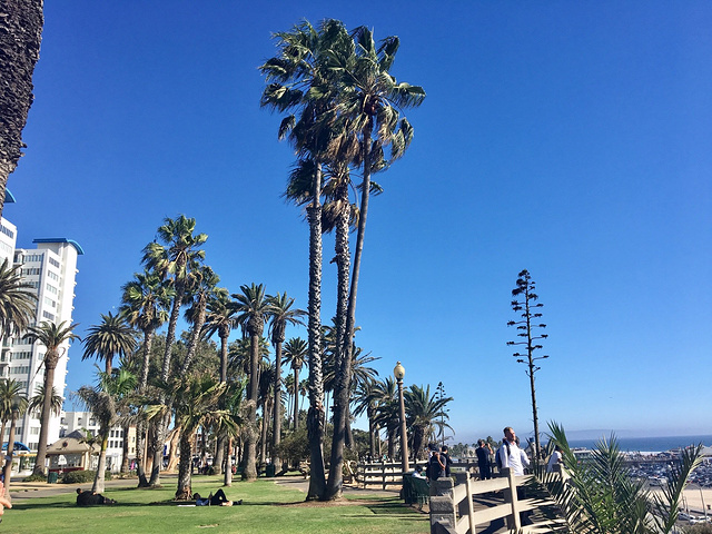 2017海滩就是这么好玩,还逛街了呢,所以到了黄