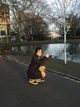 Sheffield University旅游景点攻略图