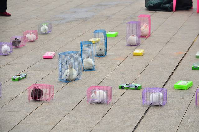 中华苏维埃纪念园