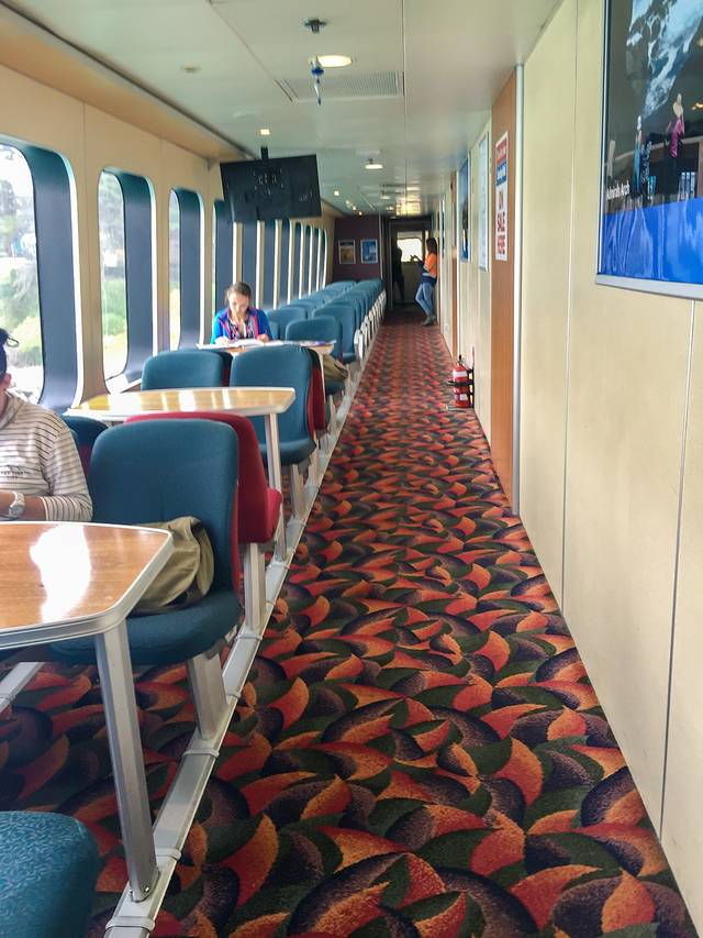 面面旅拍--迷情考拉,追寻袋鼠,从阿德莱德到墨