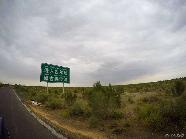 古尔班通古特沙漠