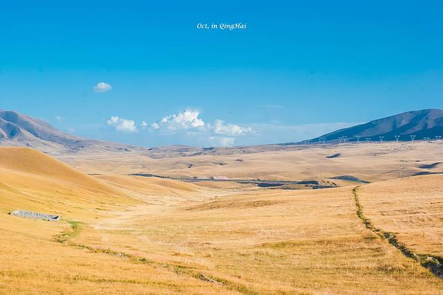 青海湖金沙湾自然保护区