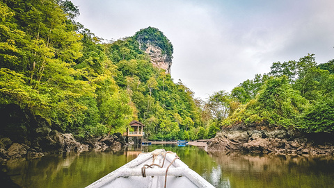 红树林旅游景点攻略图
