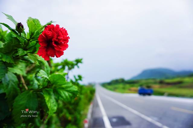 台湾北回归线标志塔