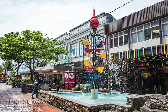 惠灵顿周末集市