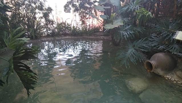 栖谷汤泉水疗会所