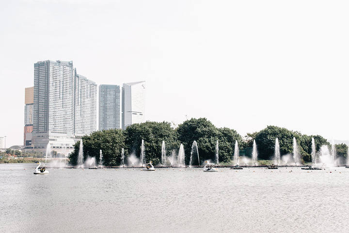 开始各种摆动作照片拍起来了。坐免费巴士到了