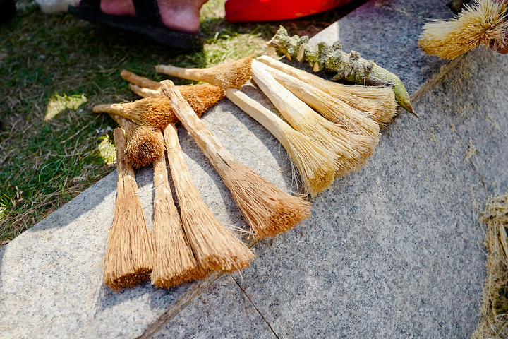 居然有手巧的匠人用椰子树的某个部位做成了刷碗的刷子