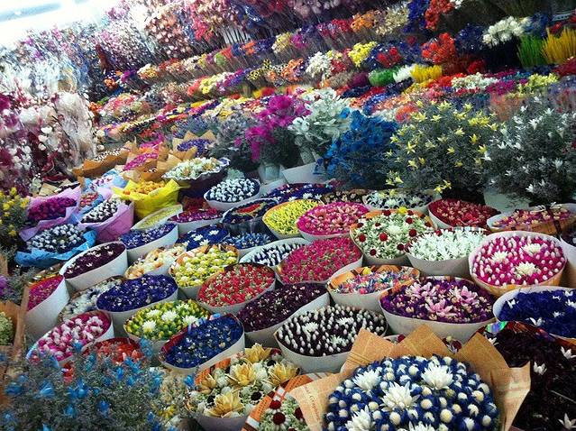 岔街一号花卉市场