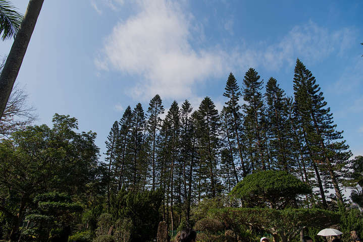 2019士林官邸游玩攻略,售票时间为上午9:30,非