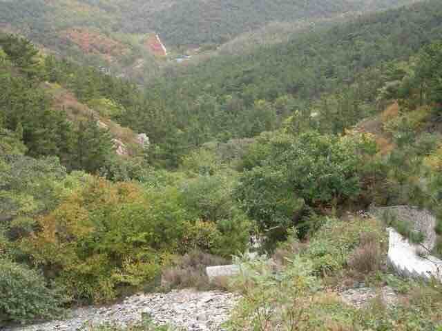 大连金龙寺国家森林公园