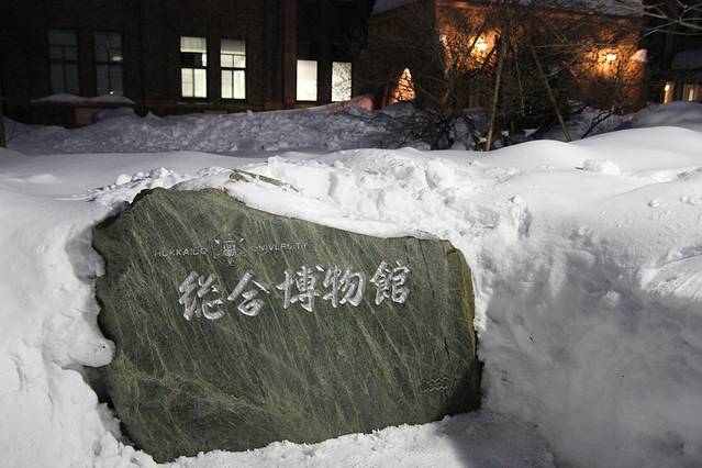 北海道大学综合博物馆