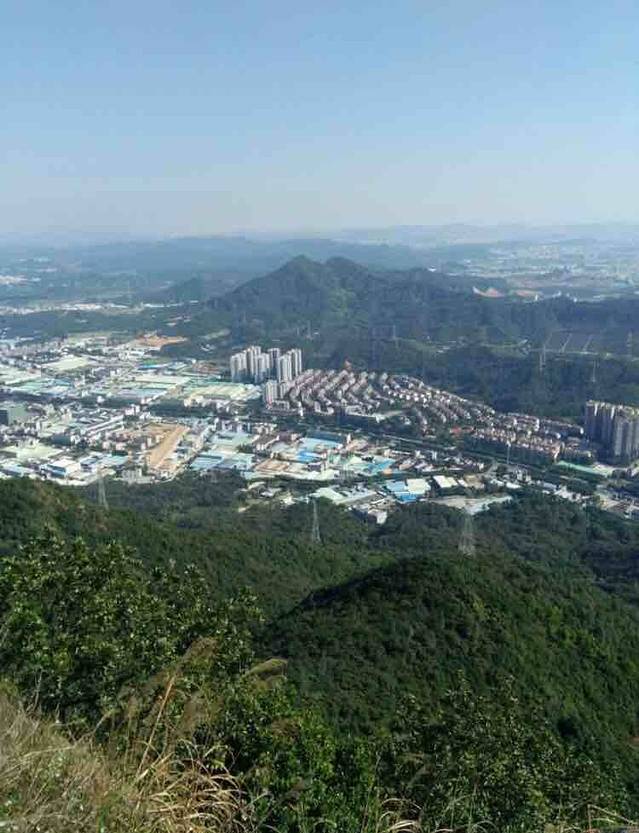 莲花山郊野公园