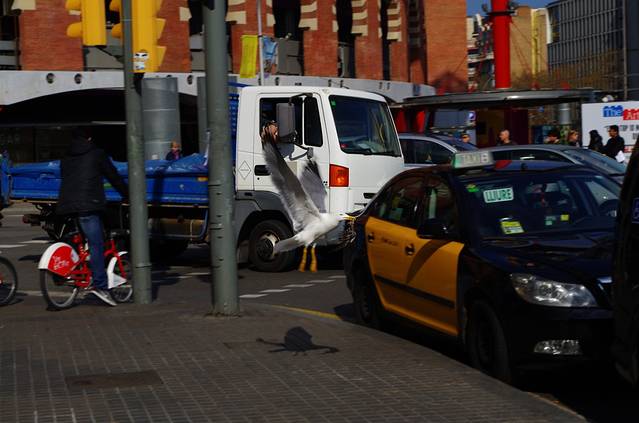 巴塞罗那斗牛场