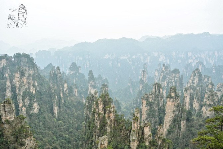 "天子山景区天子山是张家界最早开发出来的景点之一，天子山有着天下峰林“扩大的盆景，缩小的仙境”之称_张家界国家森林公园"的评论图片