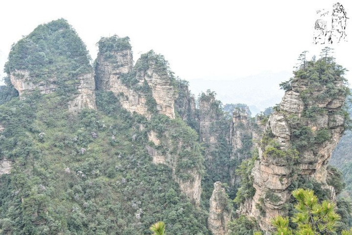 "天子山景区天子山是张家界最早开发出来的景点之一，天子山有着天下峰林“扩大的盆景，缩小的仙境”之称_张家界国家森林公园"的评论图片