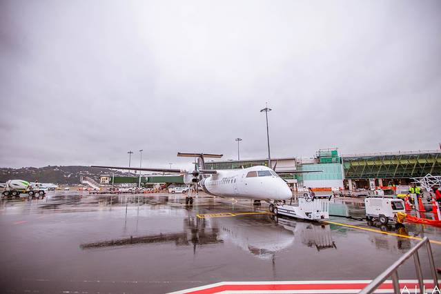 惠灵顿国际机场