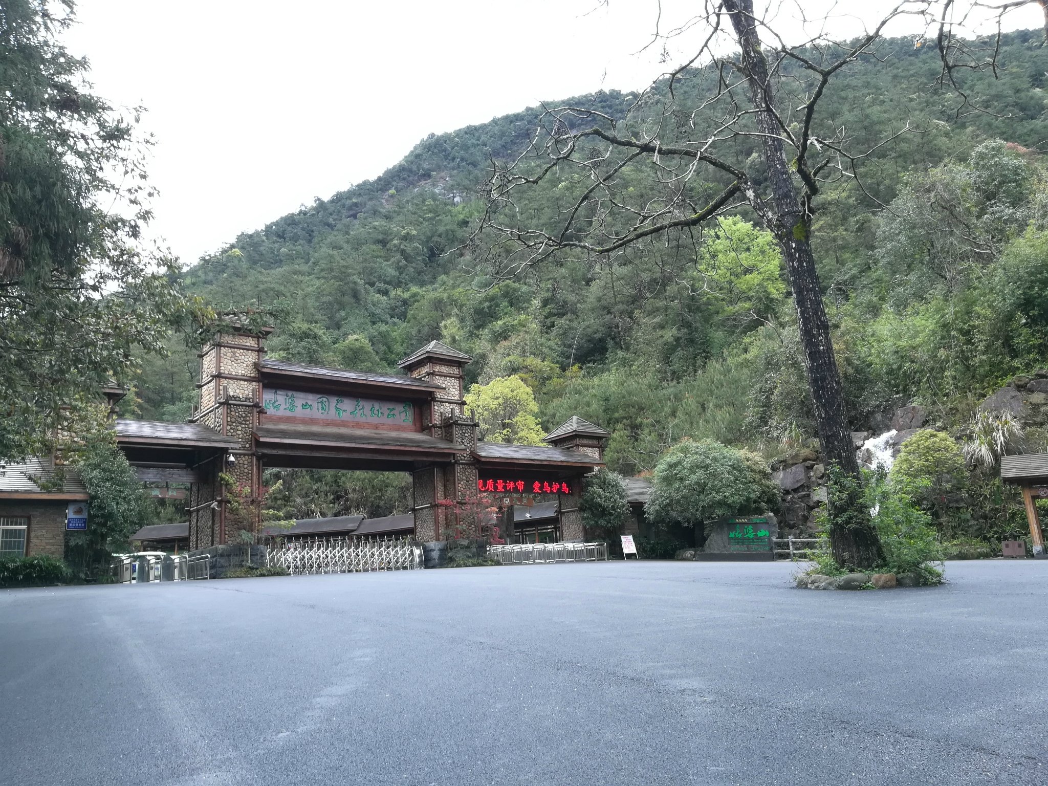 阳光正好，和我一起在姑婆山国家森林公园走一走