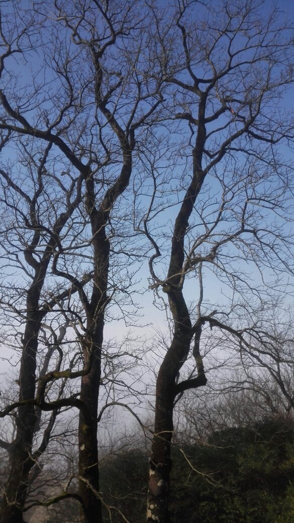 萍乡武功山景区紫极宫(中庵)